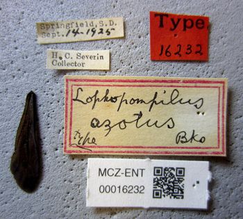 Media type: image;   Entomology 16232 Aspect: labels